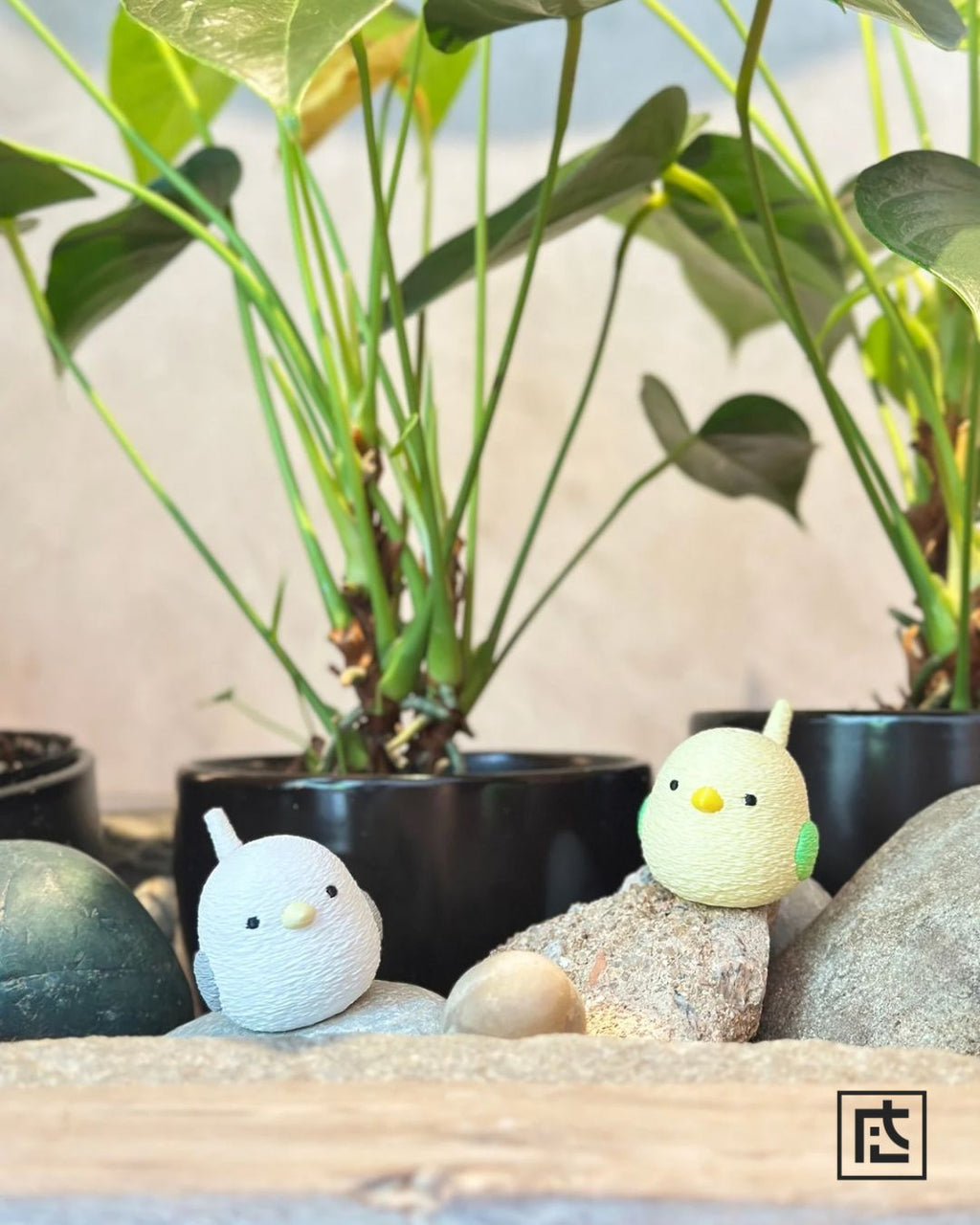 吹水鳥聲笛