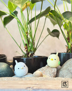 吹水鳥聲笛